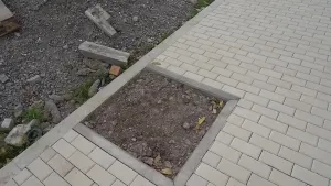 В Дербенте обустраивают новое общественное пространство у моря